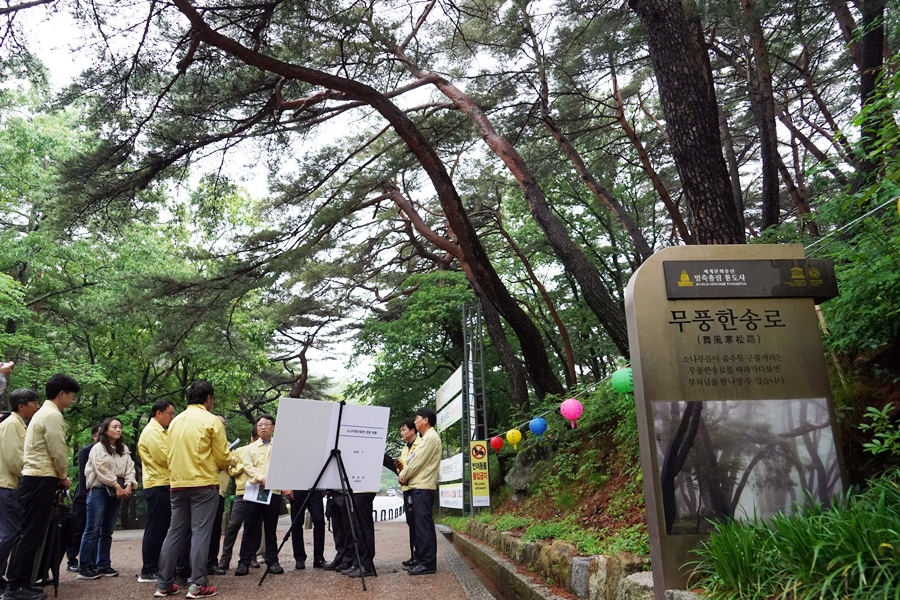 21일 경남 양산시 통도사 입구에서 사찰 주변 소나무재선충병 방제 현황을 살피는 박은식 산림청장. 산림청