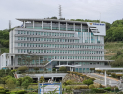 교통사고 보험사기 일당 무더기 검거