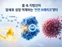 [쿠키과학] KAIST, 암세포 성장 스위치 끄는 천연물질 찾았다