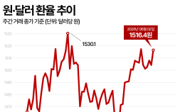환율 12거래일째 1500원대…고물가 경고등
