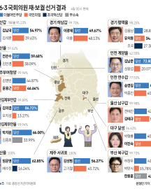 6·3 재보궐 선거 與 9곳 승리, 국힘 4석 확보…한동훈 원내 입성