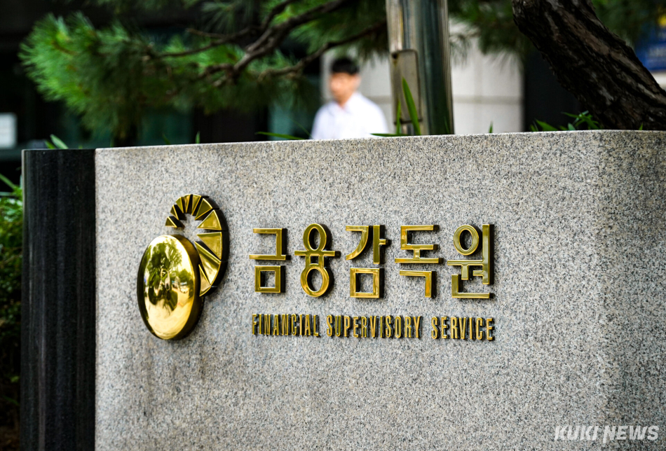 금융감독원. 쿠키뉴스 자료사진