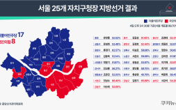 오세훈 찍고 구청장은 민주당…한강벨트서 엇갈린 표심