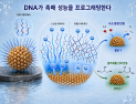 [쿠키과학] ‘DNA 서열 바꿔 수소 생산 높인다’… KAIST, 전기촉매 설계법 개발