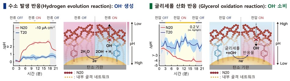 단일가닥 DNA 층을 통한 촉매 계면 국소 pH 조절 메커니즘. KAIST