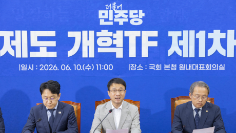 민주당, 선거제도 개혁 드라이브…TF 가동·특위 구성