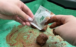 ‘자생식물 보전·산불피해지 복원’ 연계… 한수정, 생태 프로그램 확대