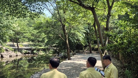 운주계곡 불법 평상·가설건축물 철거… 산림청, 무관용 원칙 적용