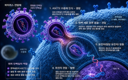 [쿠키과학] 암세포 잡는 면역세포 치료제, 더 싸고 강하게 만든다… 화학연, 열쇠 단백질 발굴