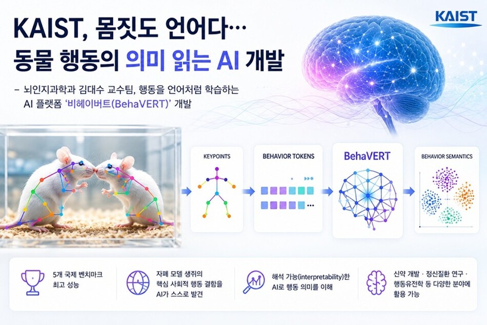 AI 생성이미지. KAIST