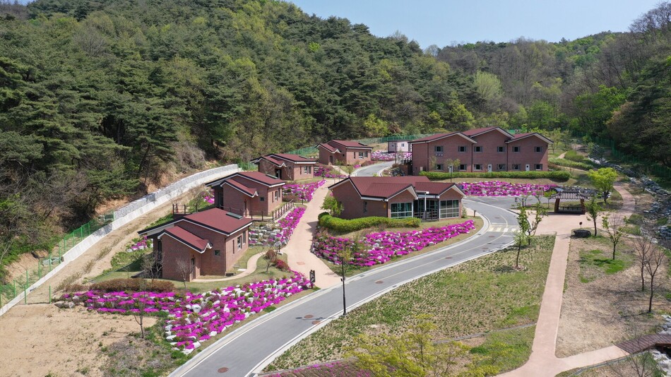 봉화정자문화생활관 ‘솔향촌’. 봉화군 제공