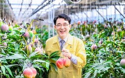 함안군, 애플망고 경쟁력 강화 나선다…농가와 현장 소통