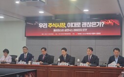 삼전·닉스 레버리지 커지는 정부 책임론…금융당국 ‘시곗바늘’ 빨라진다